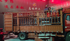 15000米PVC-KM1.25/32、50煤礦用聚氯乙烯管發(fā)貨山西長治